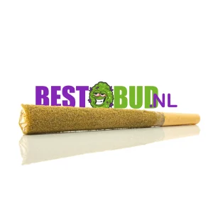 Amnesia Haze Gruis productfoto bij BestBud