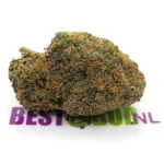 Rainbow Zkittlez