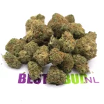 White Widow - popcorn buds