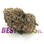 Lava Cake