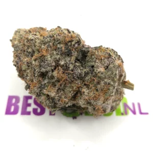 Lava Cake