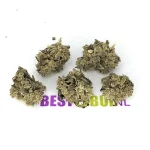 Kosher Kush - Popcorn Buds