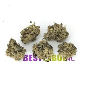 Kosher Kush - Popcorn Buds