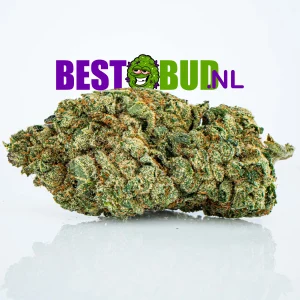 Platinum OG