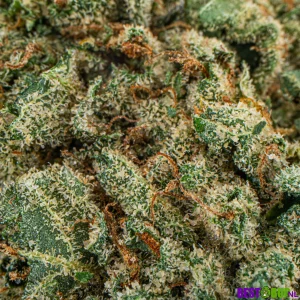 Platinum OG