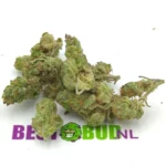 Gorilla-Colle-Popcorn-Buds