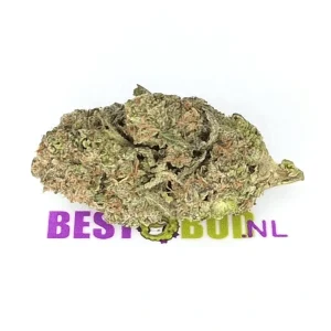 Kosher Kush