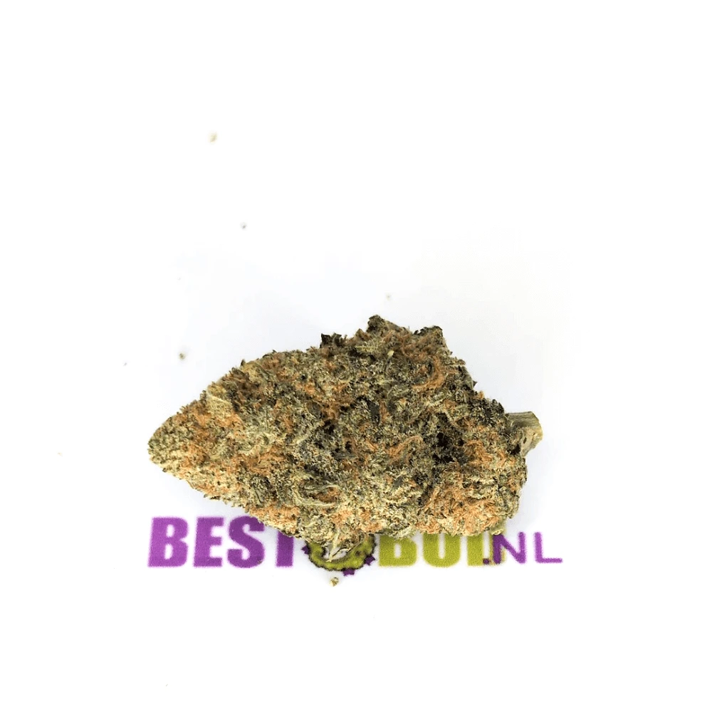 White Widow White Widow