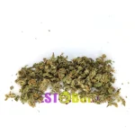 Amnesia Haze Gruis