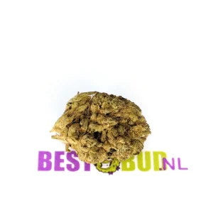 Kosher Kush - Old Cured