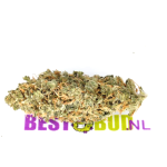 Bio Haze