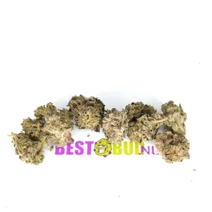 MAC - Popcorn Buds