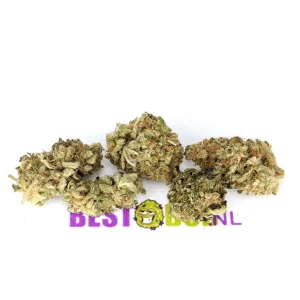 Banana Kush- Popcorn Buds