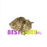 Strawberry Shortcake productfoto bij BestBud