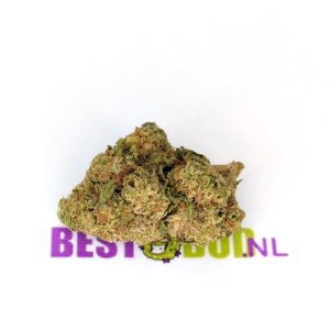 Garlic Cookies