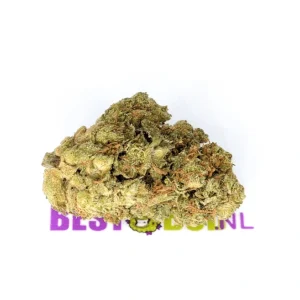 Liberty Haze