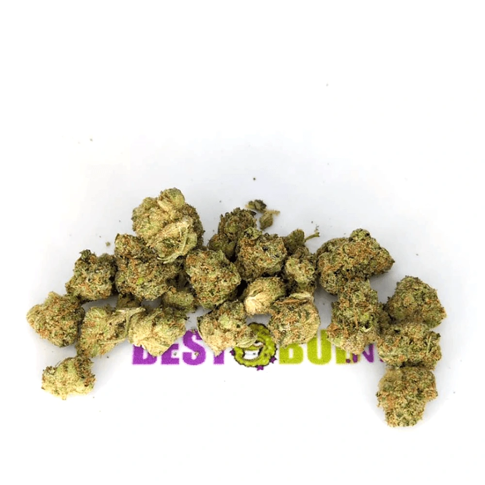 Zowah - Popcorn Buds Zowah - Popcorn Buds