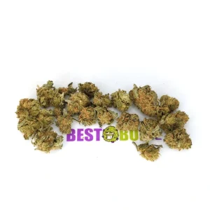 Jungle Haze - Popcorn Buds