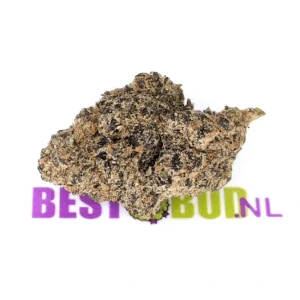 White Trufflel