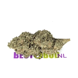 Zombie Kush