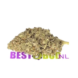 Green Crack