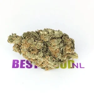Super Skunk