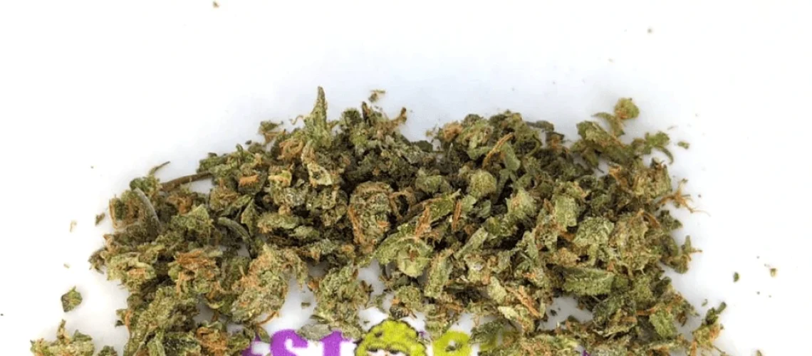 Amnesia Haze Gruis