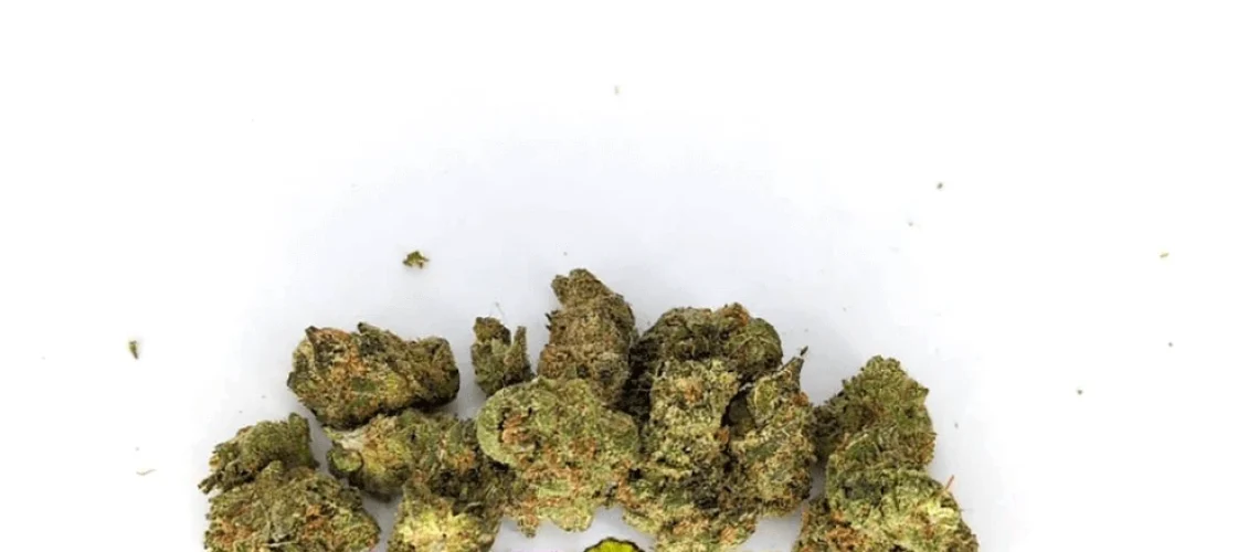 Amnesia Haze - Popcorn Buds