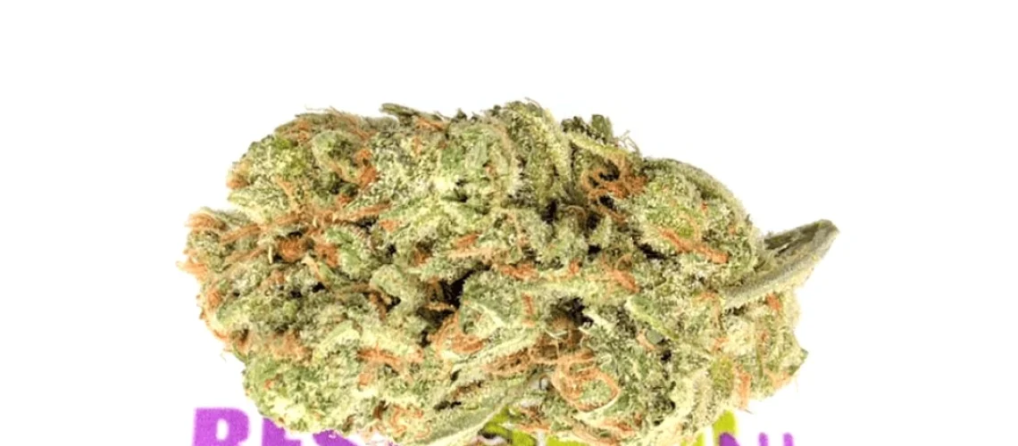 Amnesia Haze