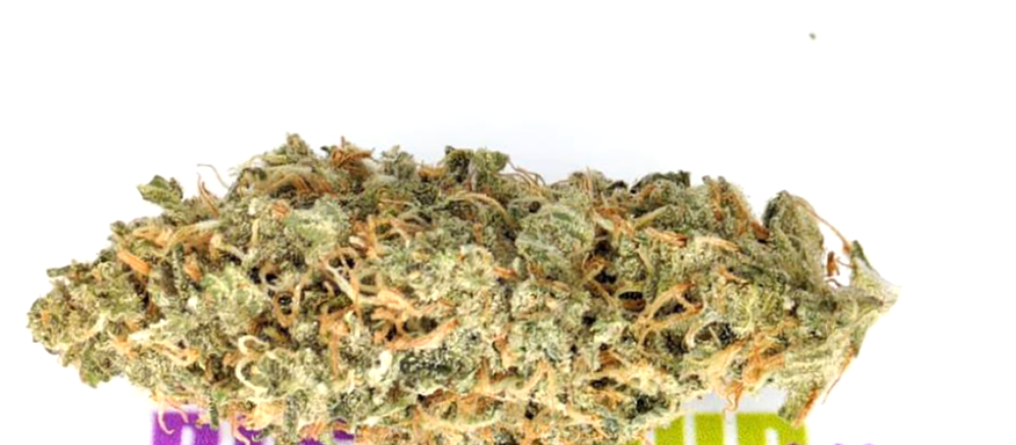 Bio Haze