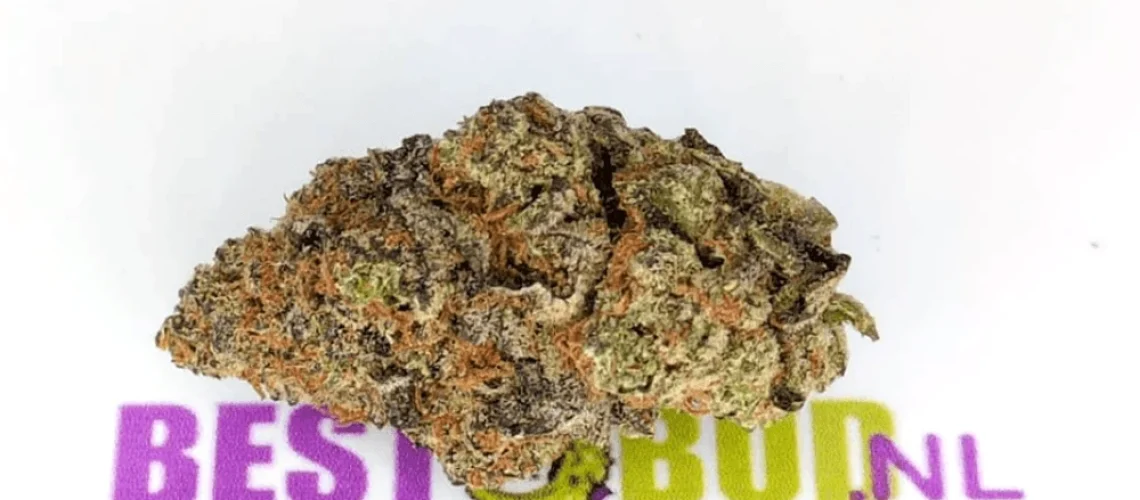 Blackberry