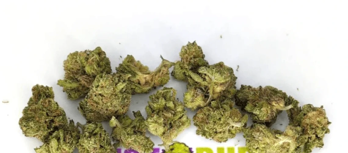Cheese - Popcorn Buds