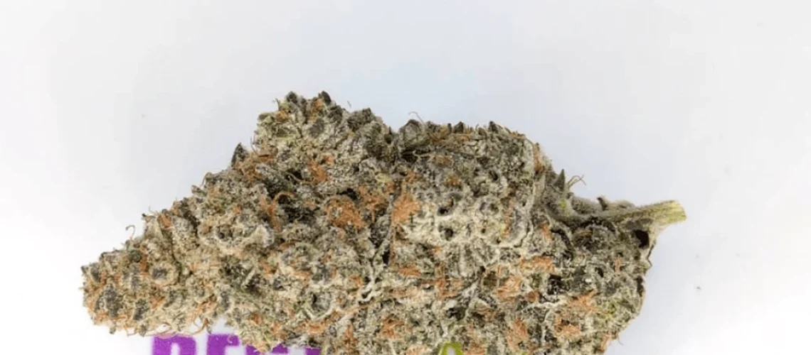 Cream Soda