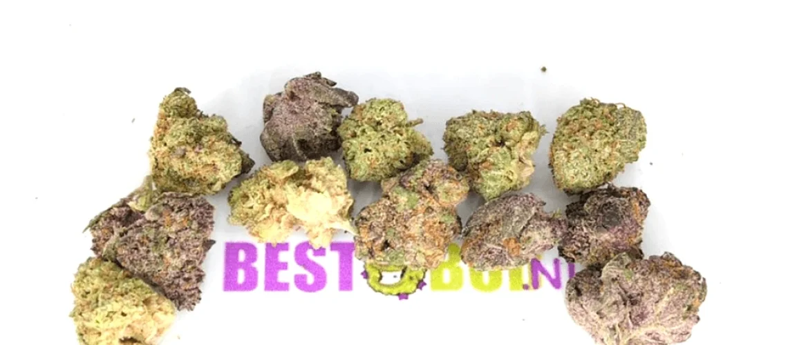 Party Mix - Popcorn Buds