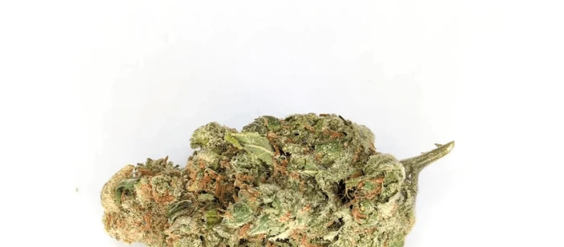 Super Silver Haze
