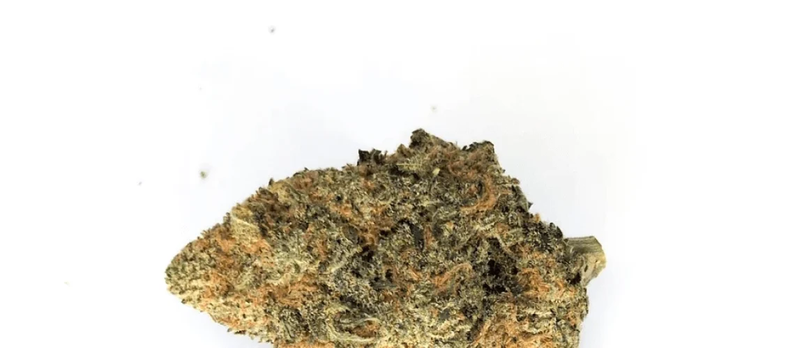 White Widow