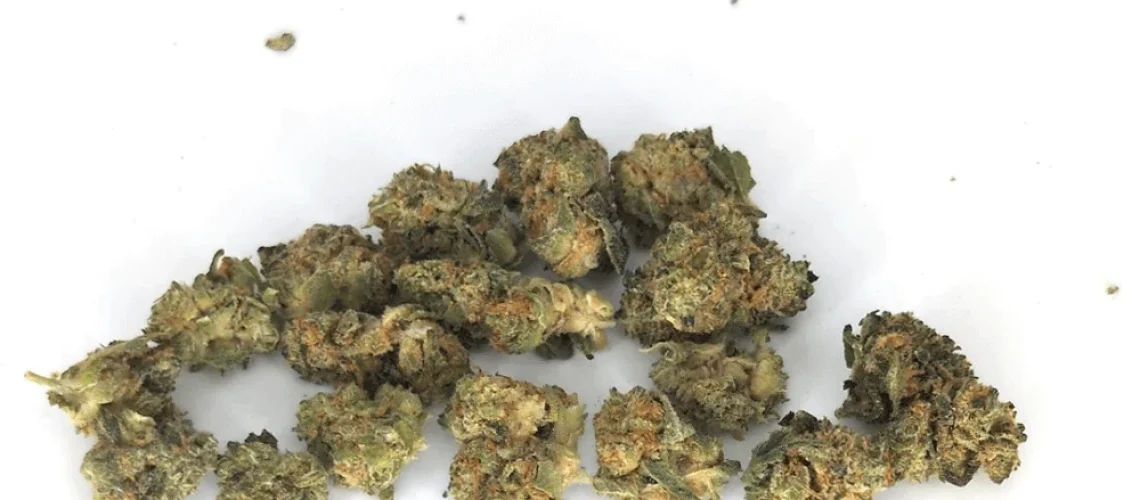 Cheesecake - Popcorn Buds