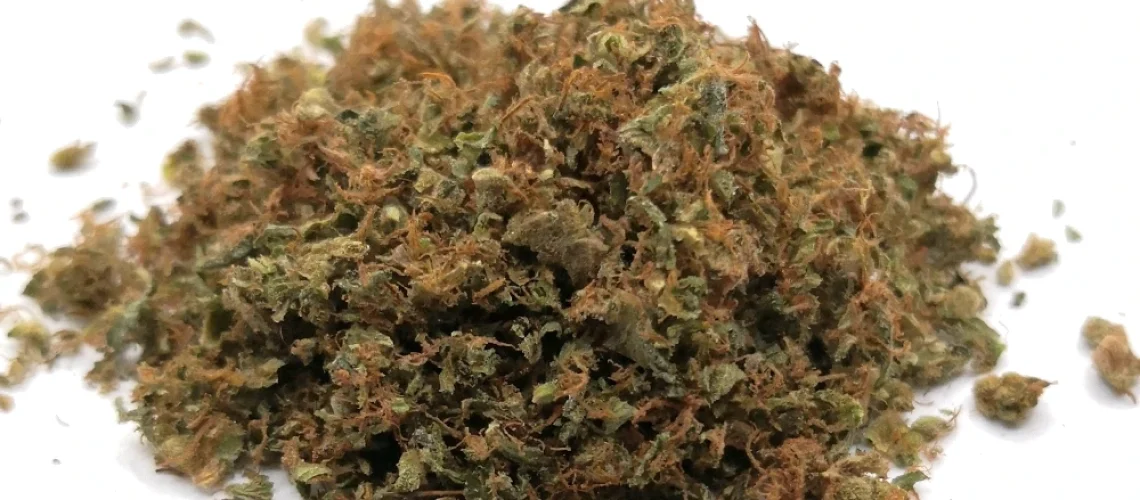 GSC Kush Gruis