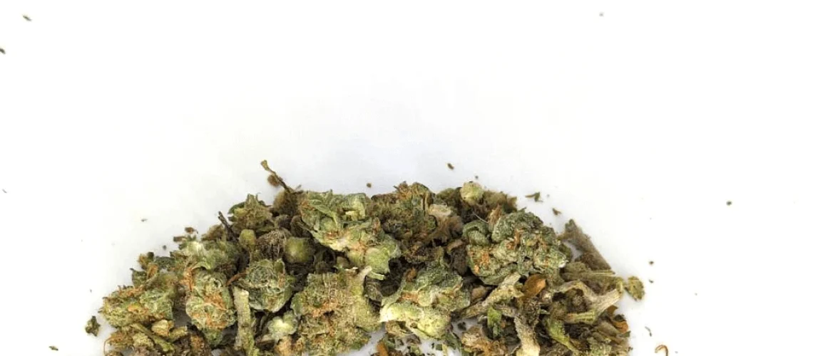 Party Mix Gruis